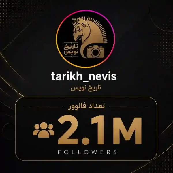 پیج تاریخ نویس