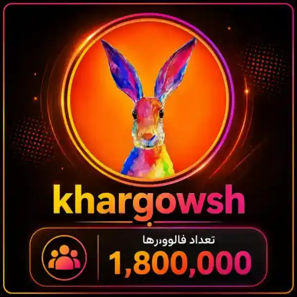 پیج خرگوش