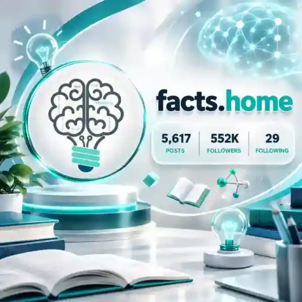 پیج فکتس هوم
