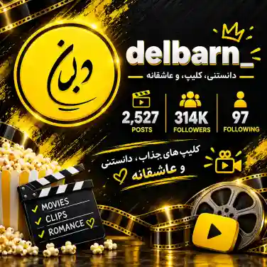 پیج دل بان